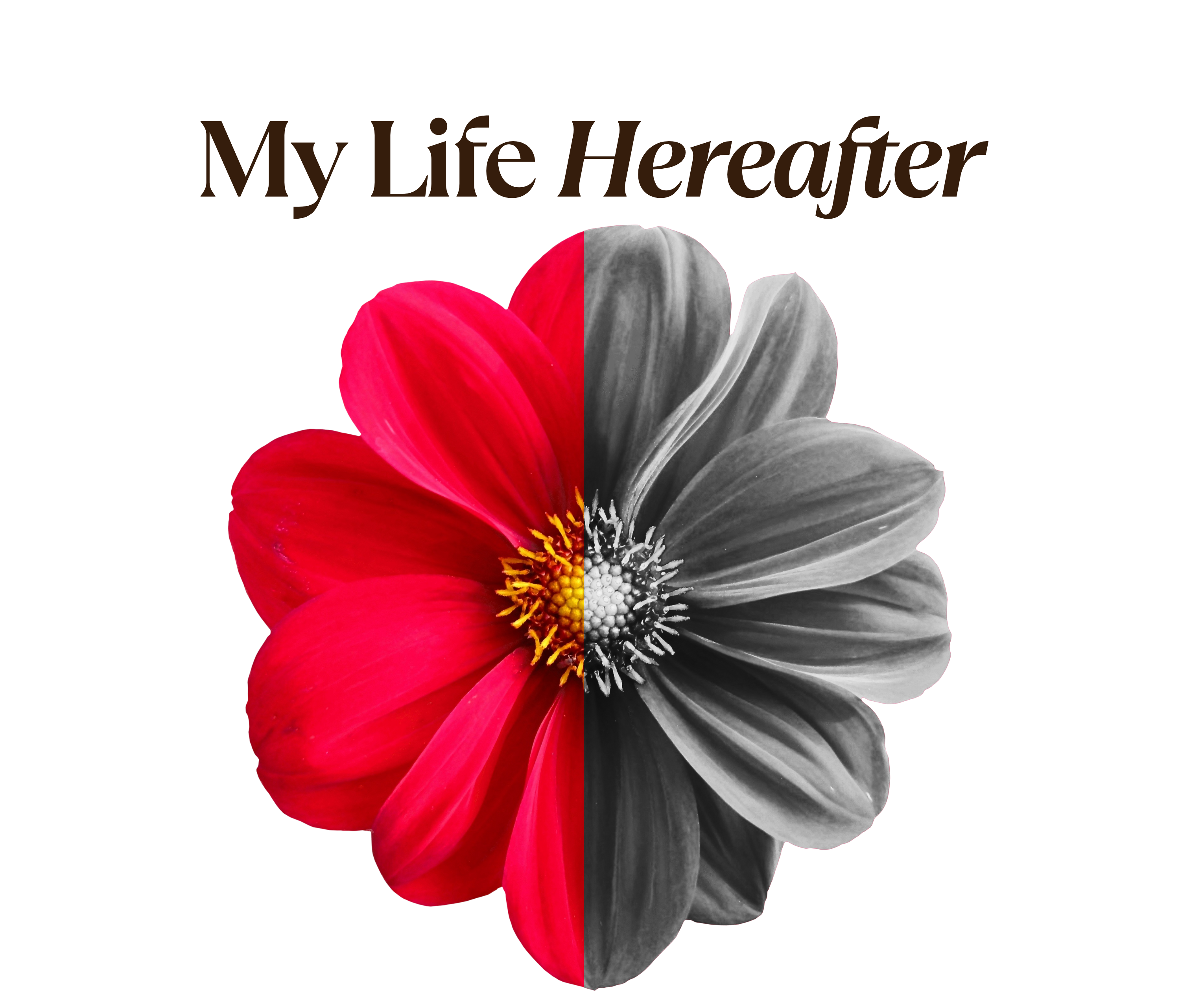 Logo for My Life Hereafter